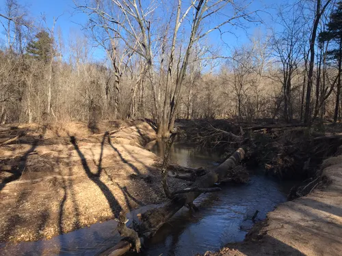 Best Hikes and Trails in Preddy Creek Trail Park | AllTrails