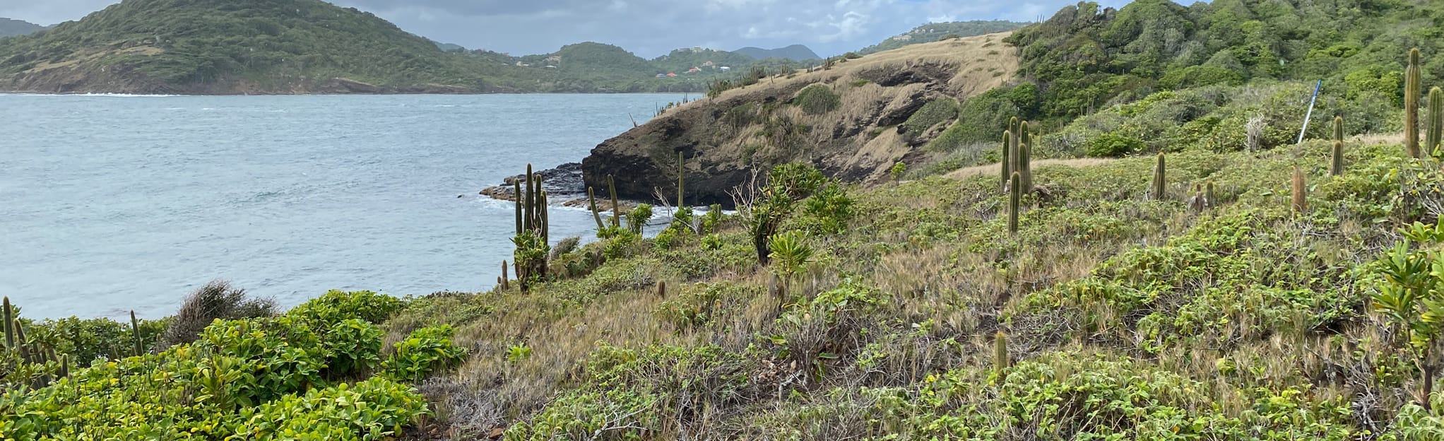 AllTrails Secret Beach and Donkey Beach 7 Reviews, Map Gros Islet