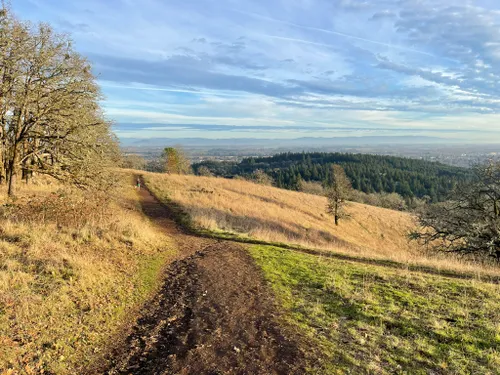 10 Best Trails and Hikes in Corvallis