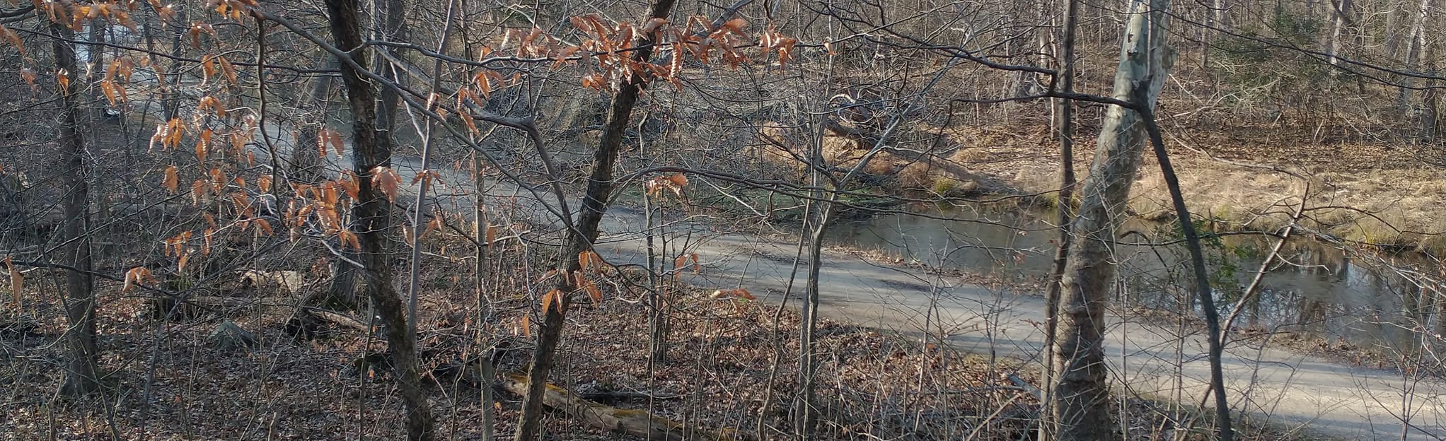 Marsden Tract Campground to Point of Rocks Maryland AllTrails