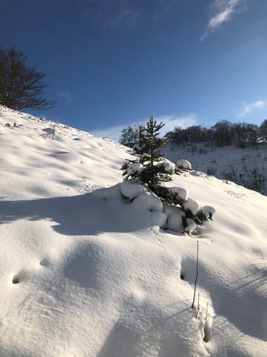Bollerberg Rundweg