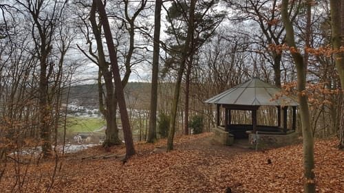 Wald-Amorbach Runde