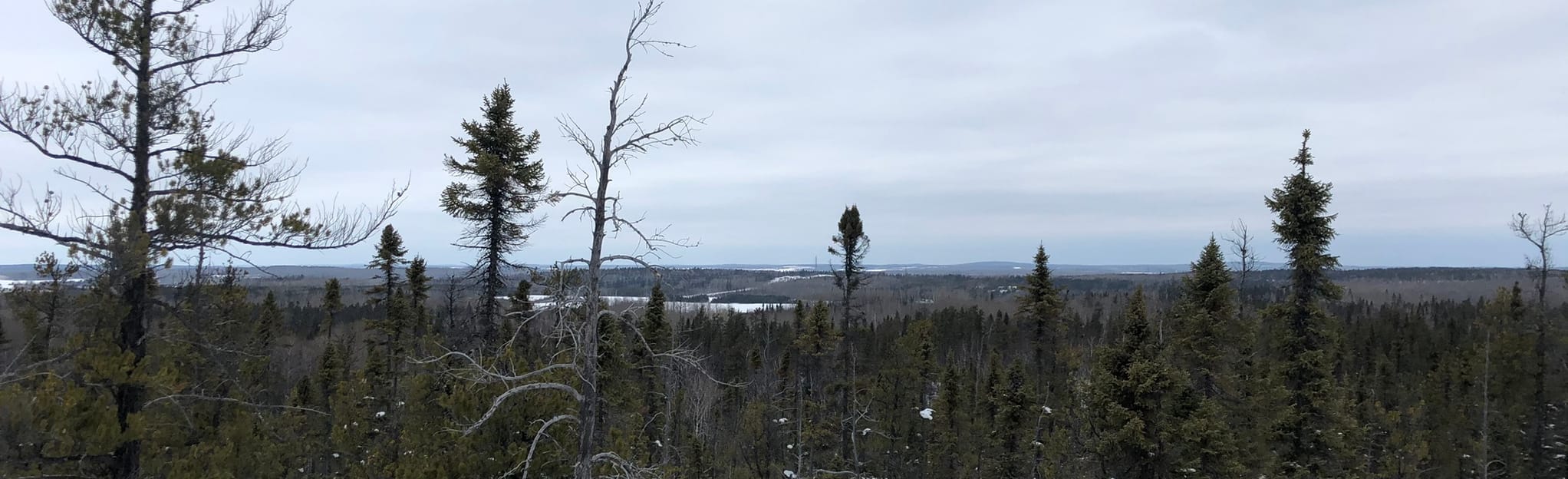 Sentier La DraveGalerie, Quebec, Canada Map, Guide AllTrails