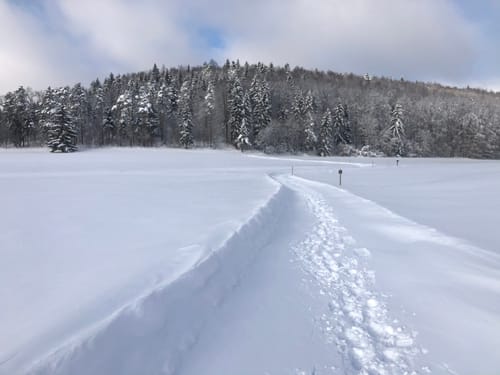 Wintermärchen (Premiumwanderweg)
