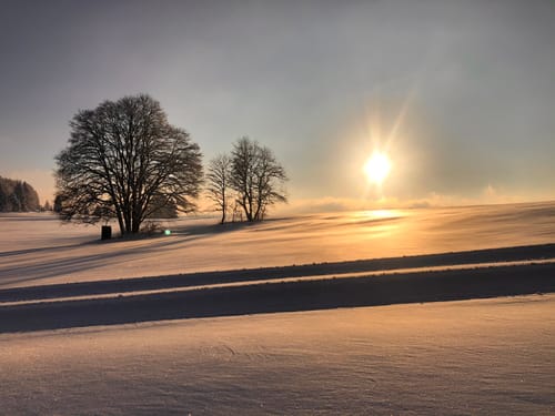 Wintermärchen (Premiumwanderweg)
