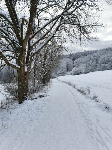 Kräuterwanderung Eisenberg