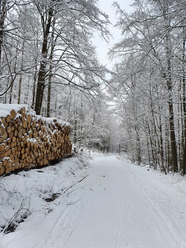 Kräuterwanderung Eisenberg