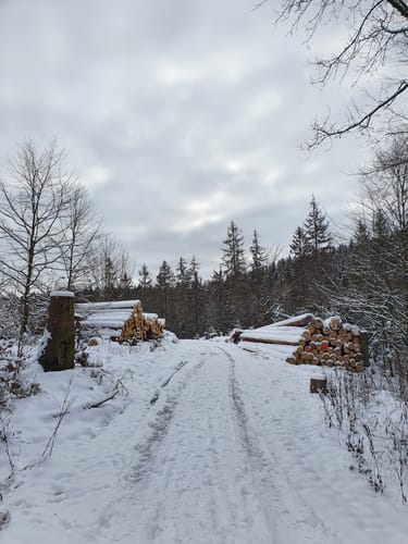 Kräuterwanderung Eisenberg
