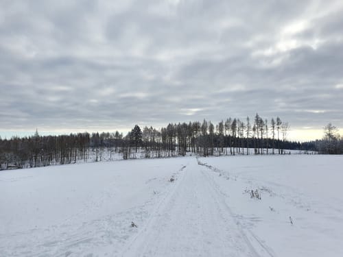 Kräuterwanderung Eisenberg
