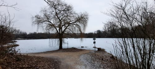 Wendlingen - Neckar - Wernauer Baggerseen