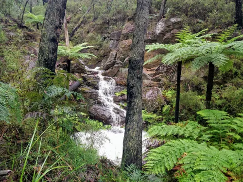 Overnight 2024 hikes otways