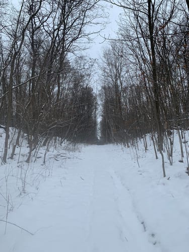 Spaziergang um Sallgast Süd