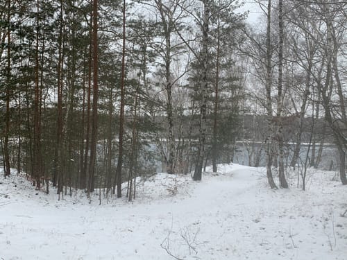 Spaziergang um Sallgast Süd