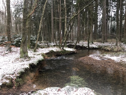Schmithof - Roetgen - Rott