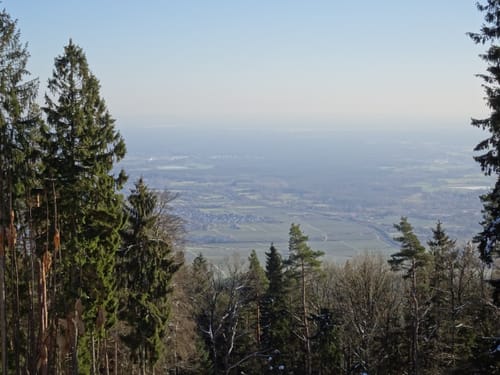 Gimmeldingen - Weinbiet Runde