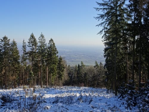 Gimmeldingen - Weinbiet Runde
