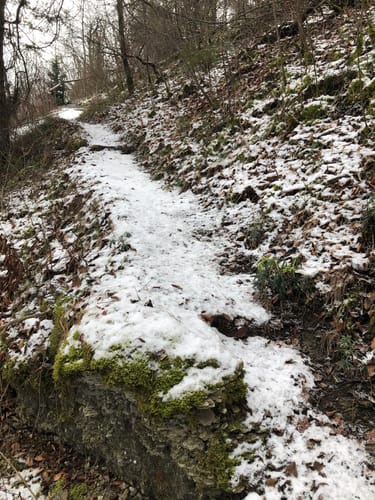 Beckstein: Rundweg über den Frauenberg