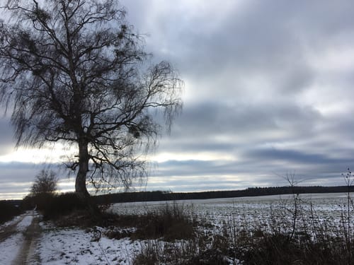 Kleine Runde bei Sponholz