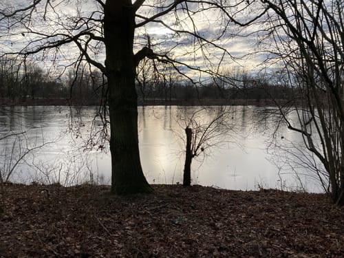  Winsen/Luhe Stadtspaziergang