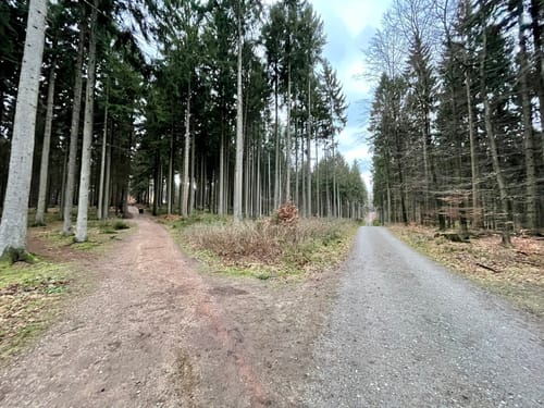 Großer Hahnheider Berg von Feilberg
