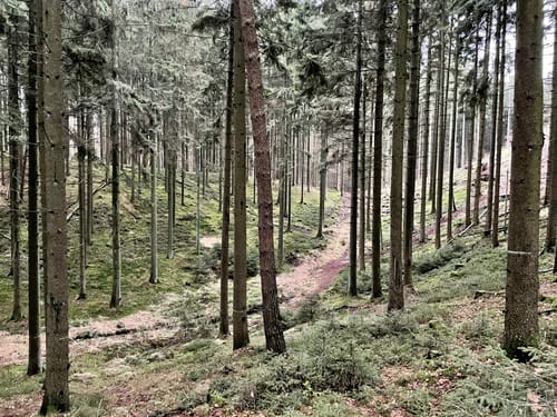 Große Runde durch die Hahnheide ab Feilberg