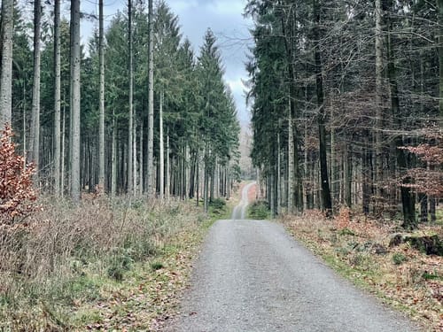 Um den Langen Otto ab Hohenfelde