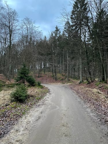 Durch die Hahnheide ab Trittau
