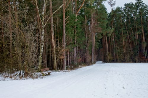 Rundwanderweg 1 Büchenbach