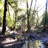 Conservationists on Wednesday Nov. 14, 2012, near the Peters Creek Loop  trail, in La Honda, Calif. where the Save the Redwoods League has agreed to  purchase a parcel near the Peters Creek