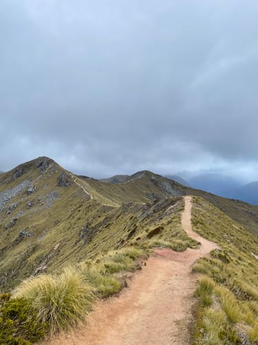Best 10 Hikes and Trails in Fiordland National Park | AllTrails
