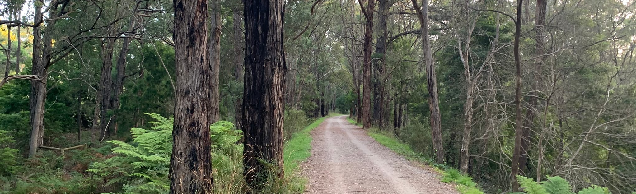 Warburton Rail Trail: Lilydale to Seville: 101 Reviews, Map - Victoria ...