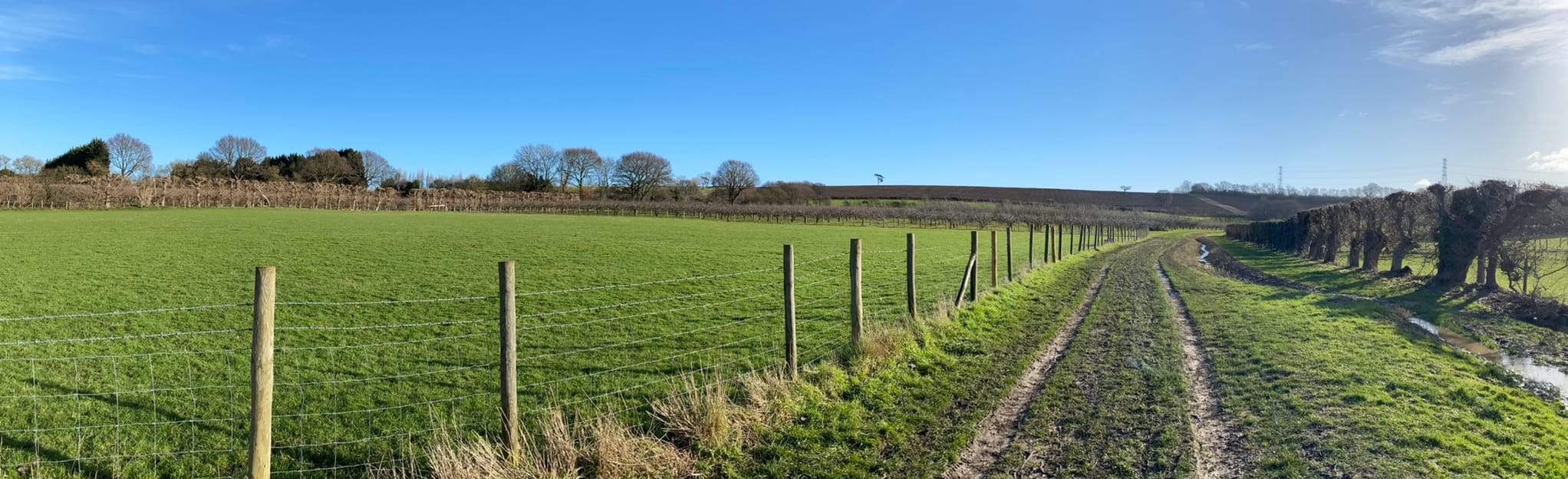 Lower Halstow, Iwade and Great Norwood Circular, Kent, England 8
