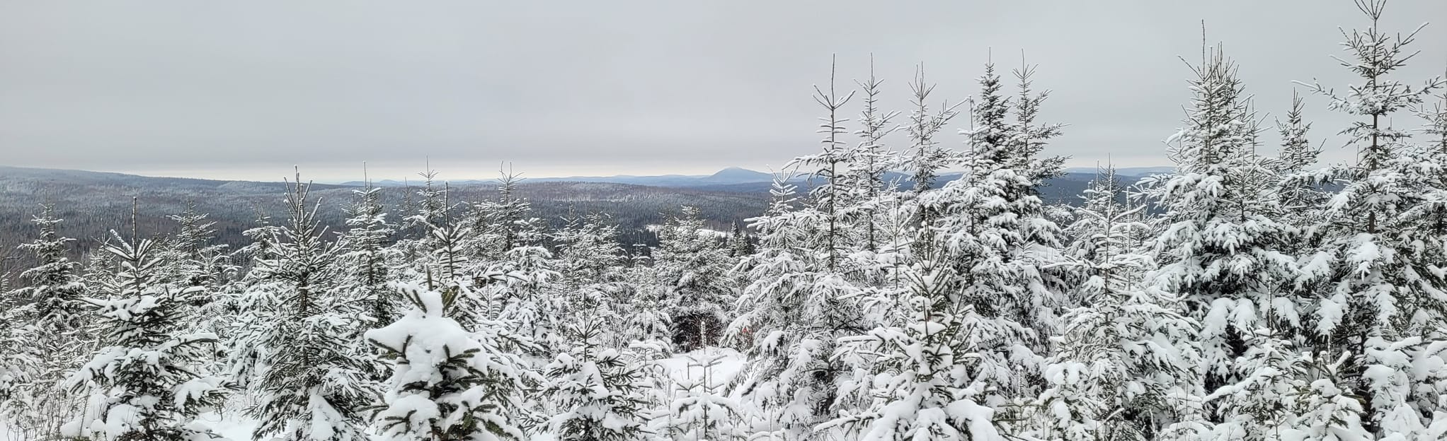 Randonnée du Lac Long via sentier 7 et 27 2 Reviews, Map Quebec
