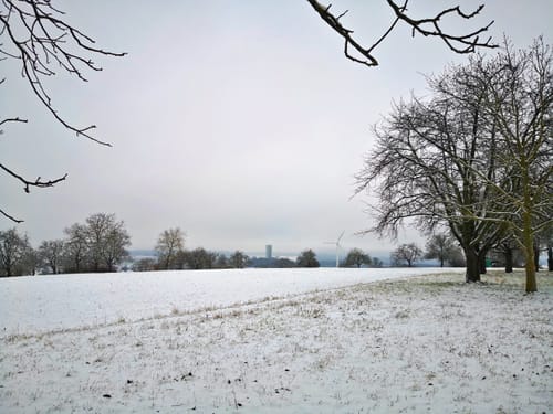 Bei der Langen Richtstatt durch den Wössinger Wald