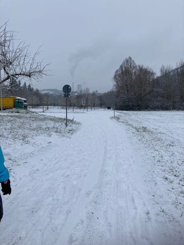 Triefenstein 1: Chorherren, Grundherren und Burgherren