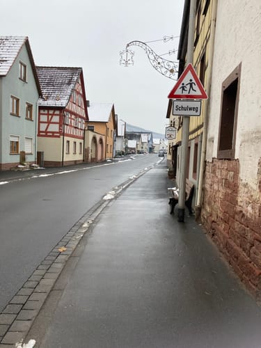 Triefenstein 1: Chorherren, Grundherren und Burgherren