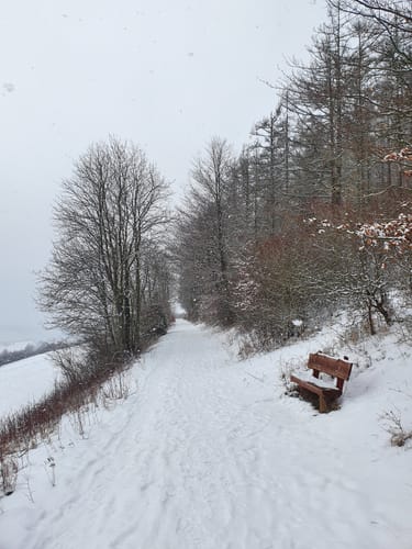 Dreienberg (Extratour)