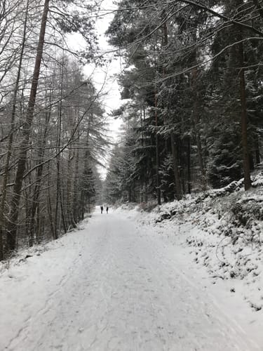 Hufeisenrunde
