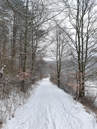Dreienberg (Extratour)
