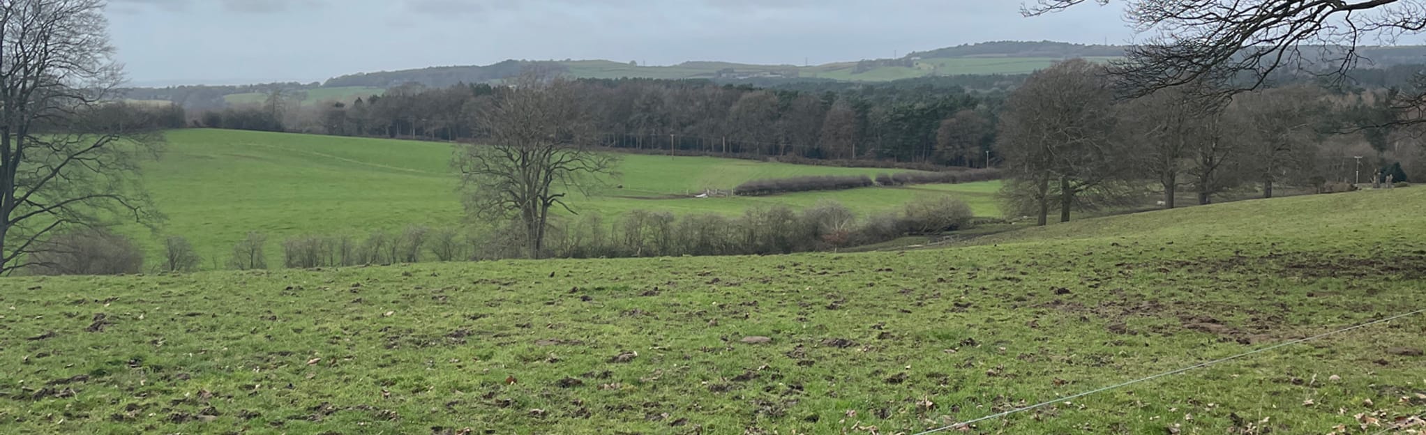 Manley Common and Delamere Circular, Cheshire, England 104 Reviews