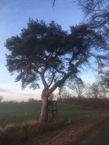 Müssen - Bartelsdorf - Schulendorf