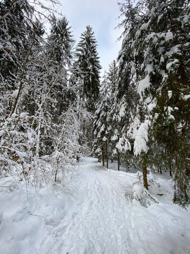Rundweg Illafeld
