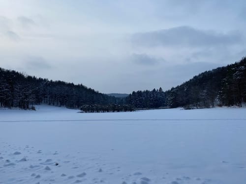 Wildgehege Hufeisen nach Spies