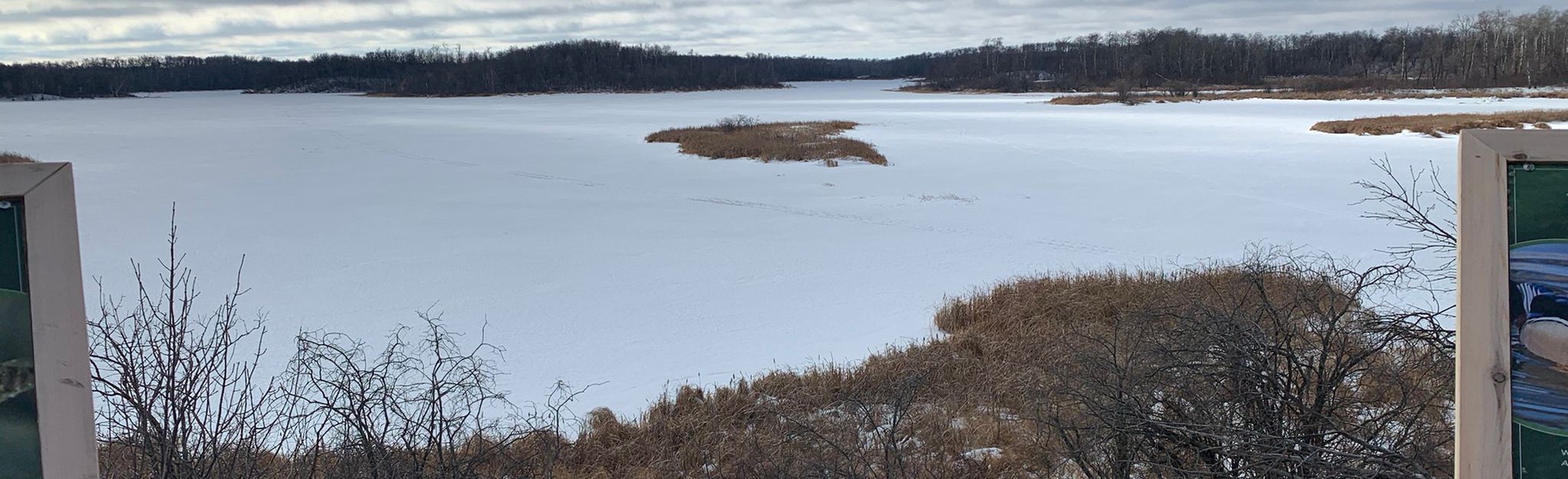 Turtle Mountains Loop: 8 Reviews, Map - Manitoba, Canada | AllTrails