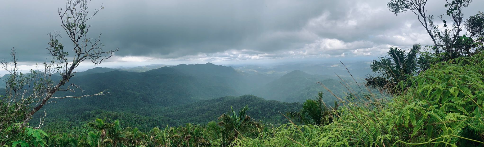 Cerro de Monte Guilarte: 85 Reviews, Map - Central Region, Puerto Rico ...