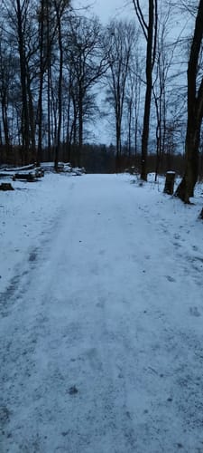 Durch das Rübholz