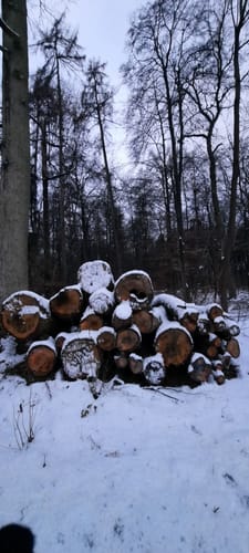 Durch das Rübholz