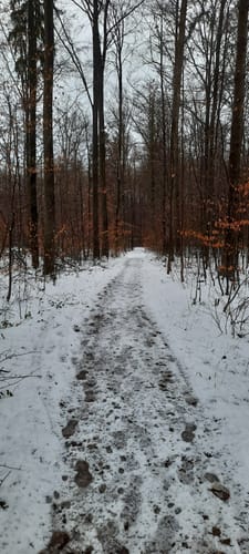 Durch das Rübholz