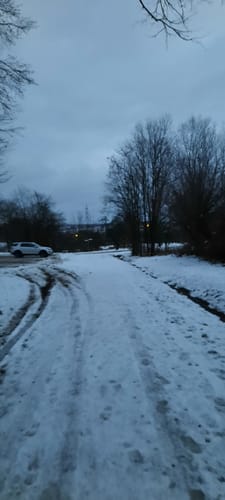 Durch das Rübholz