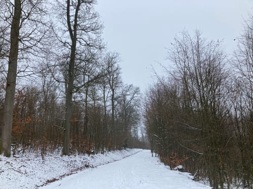 Winnweiler, Kahlheckerhof und Ingelbornerhöhe